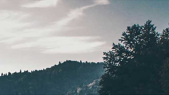 愿所有流浪动物能够离苦得乐早日脱离畜牲道！往生极乐世界！